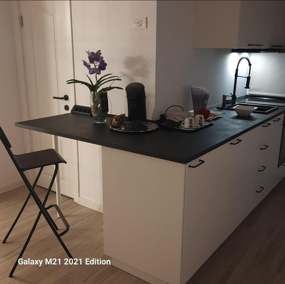 Relax Ap Timisoara Appartement Timişoara