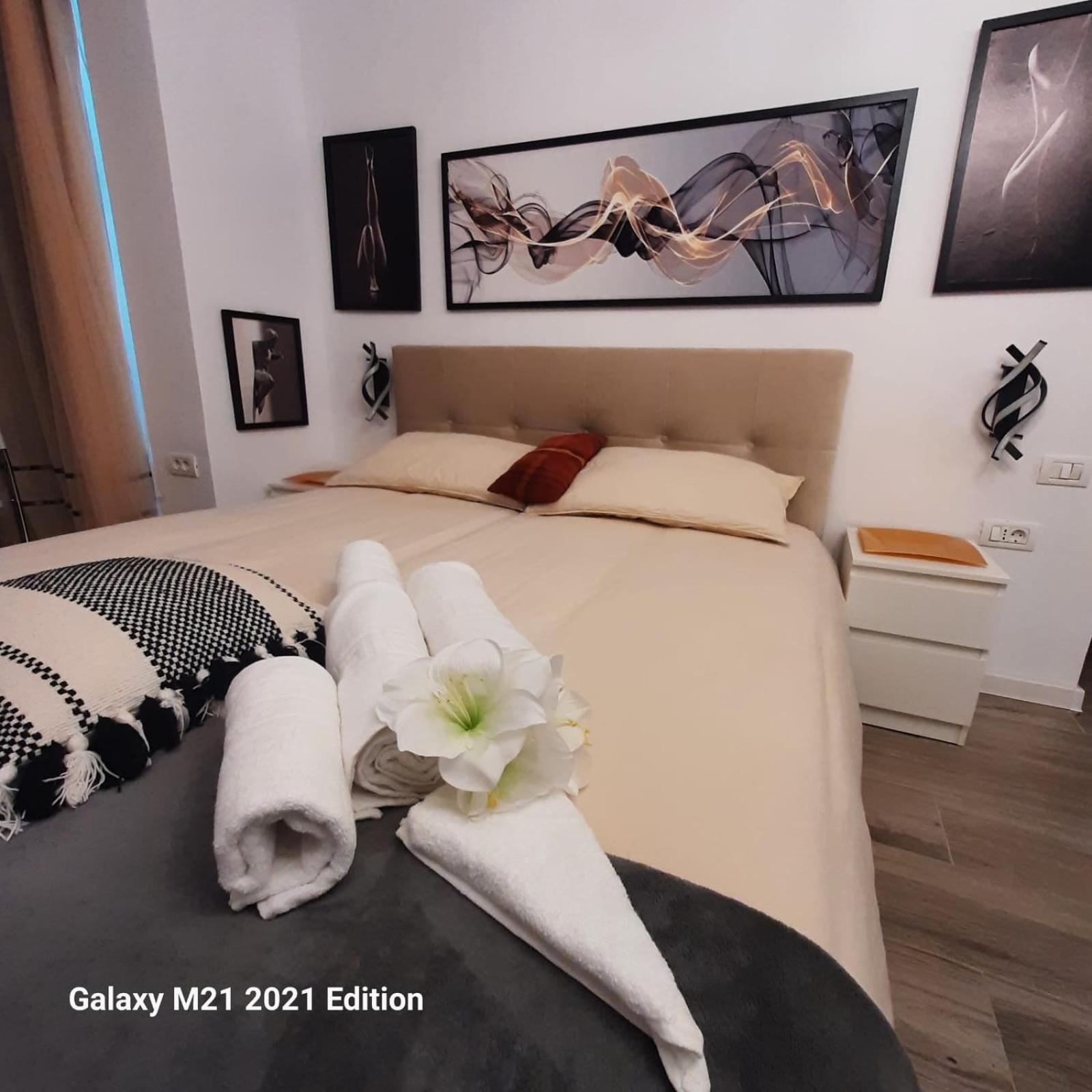 Relax Ap Timisoara Timişoara